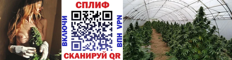 Какие есть наркотики Сретенск АМФЕТАМИН  Гашиш  МАРИХУАНА 