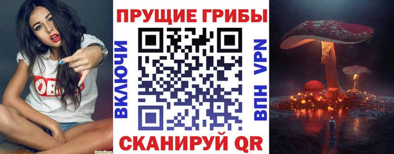 Галлюциногенные грибы Magic Shrooms  kraken маркетплейс  Сретенск 