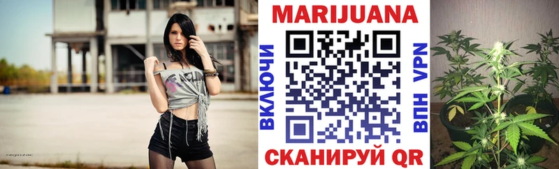 наркота  Сретенск  Бошки марихуана Ganja 